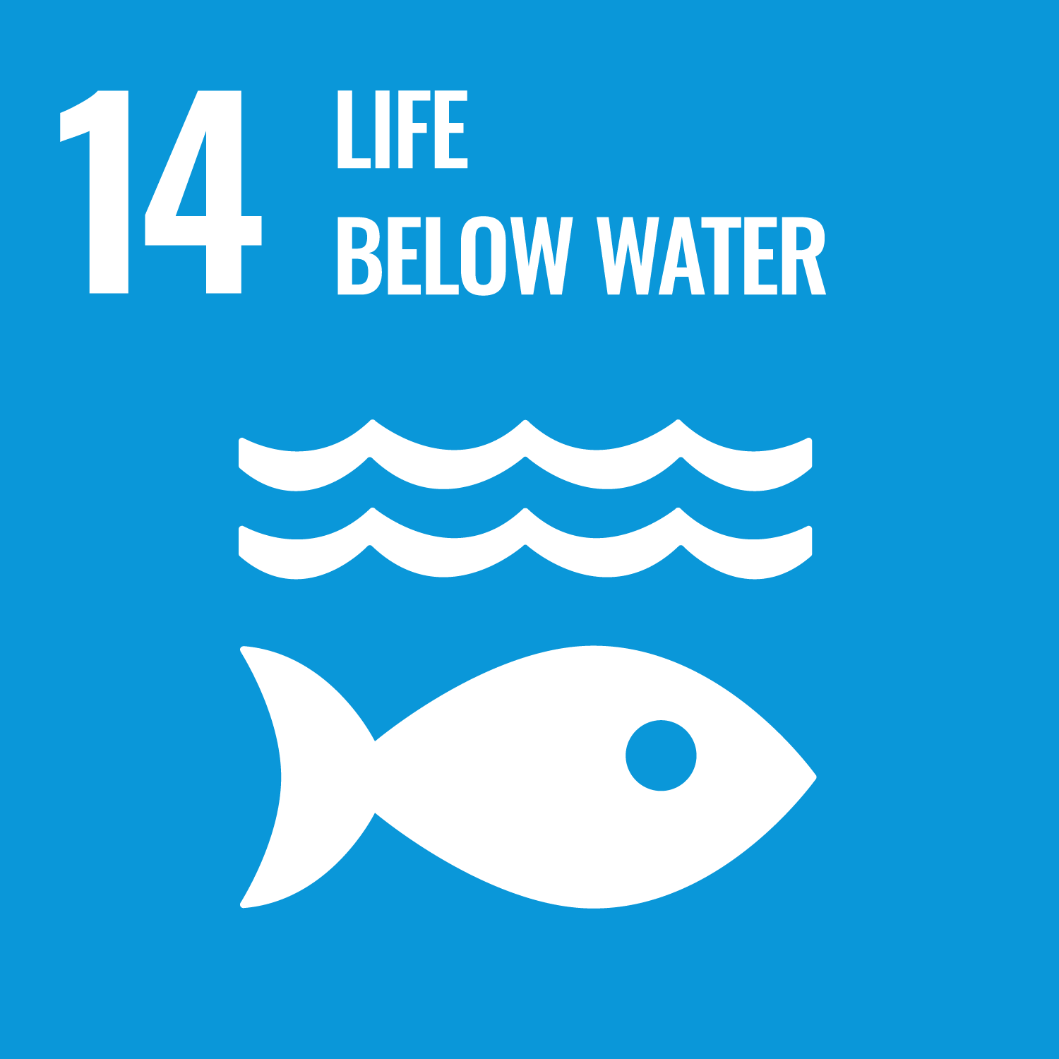 SDGs icon14