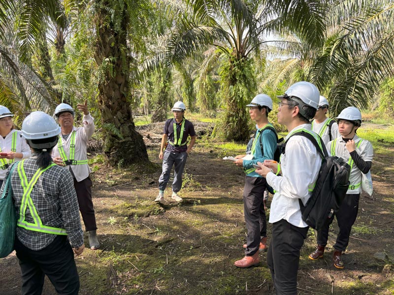 Dialogue with palm farmers in Malaysia
