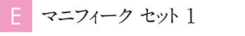 マニフィーク セット 1