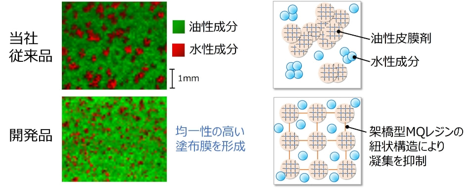 開発品の塗布膜の成分の均一性評価（左）と模式図（右）