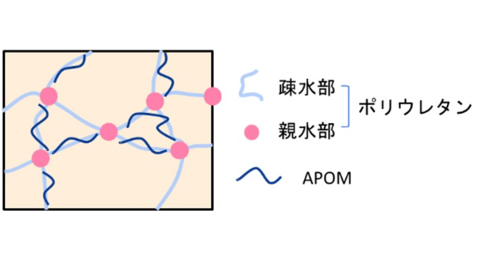 複合ゲルの構造の模式図