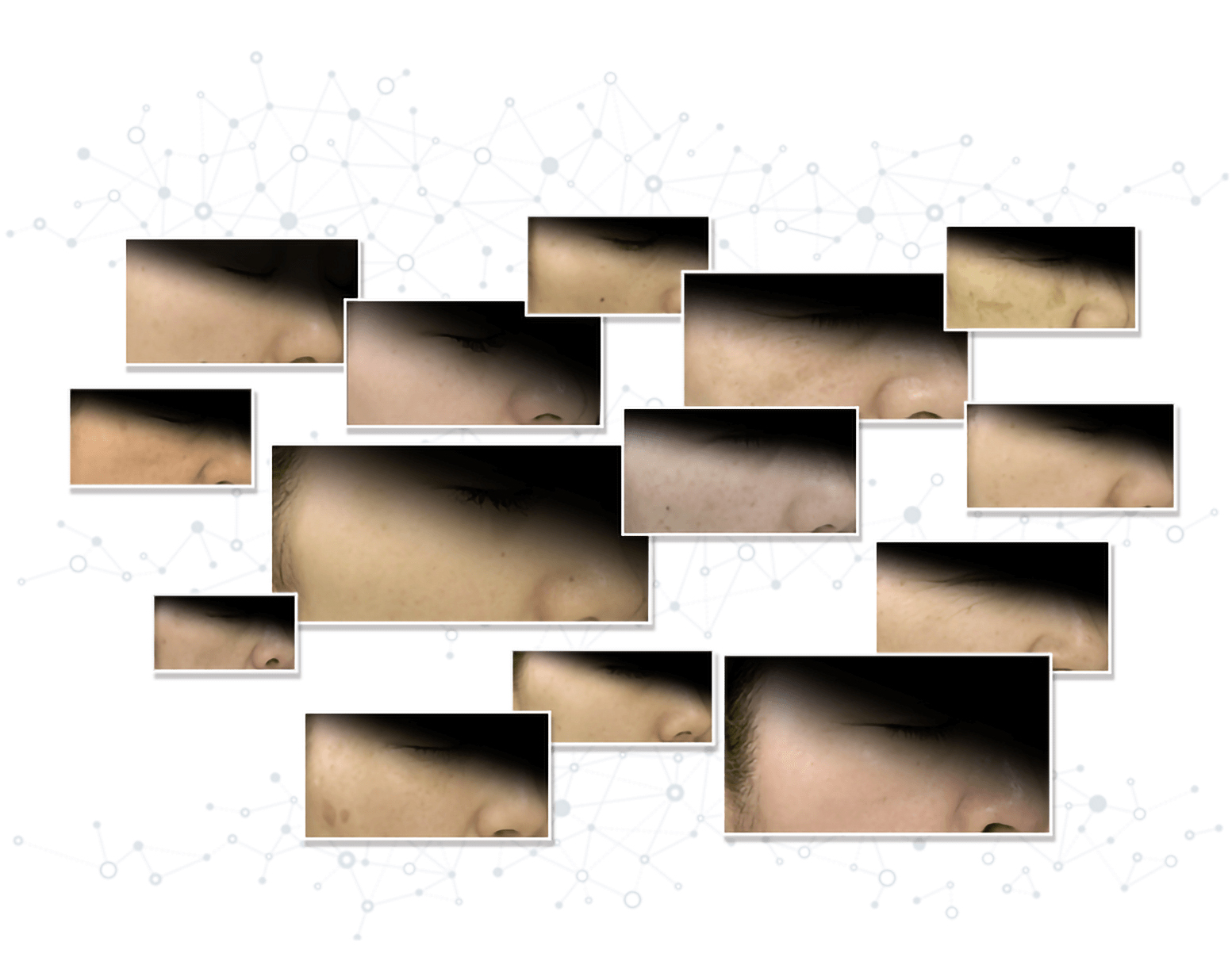 長年蓄積した皮膚科学データ