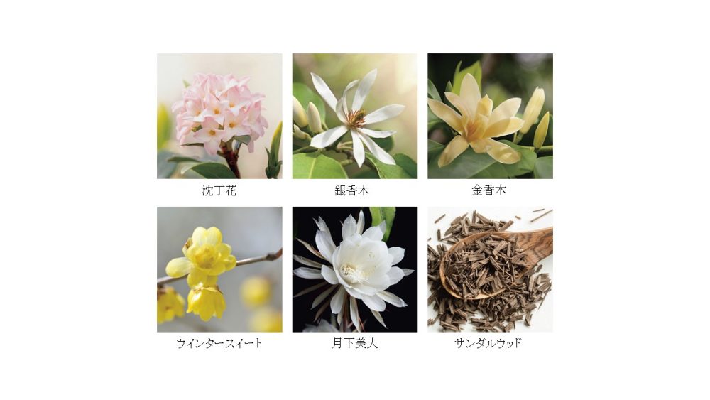 ～老化という摂理に告ぐ。～
100年美肌への想いを込めた最高峰の高機能エッセンスクリーム
「AQ ミリオリティ　ザ クリーム デコラシオン」を発売
PDF:1026KB