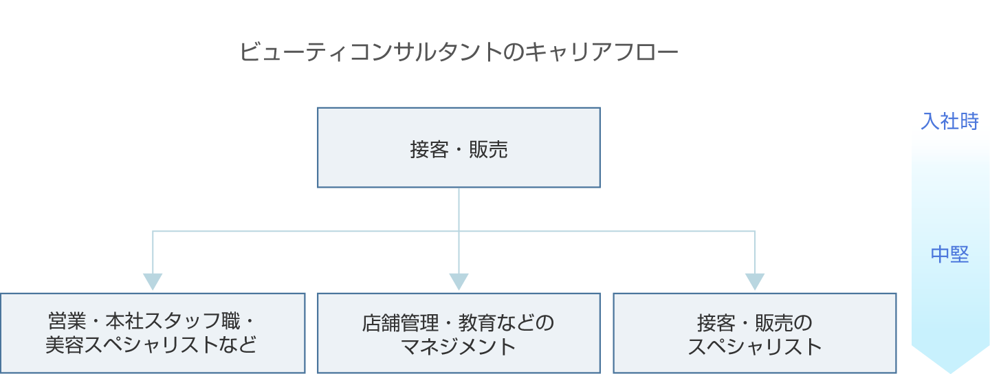 ビューティコンサルタントのキャリアフロー図